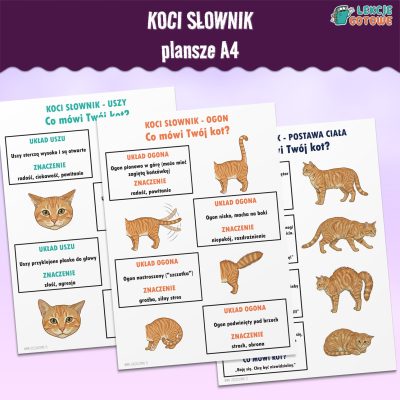 koci słownik plansze a4 dzień kota materiały pdf do druku pomoce edukacyjne kocia mowa ciała