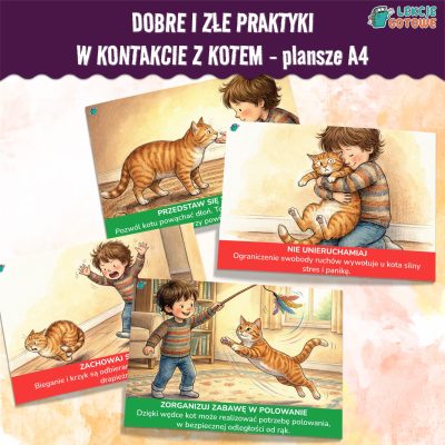 Dobre i złe praktyki w kontakcie z kotem plansze A4 materiały pdf do druku dzień kota pomysły scenariusz