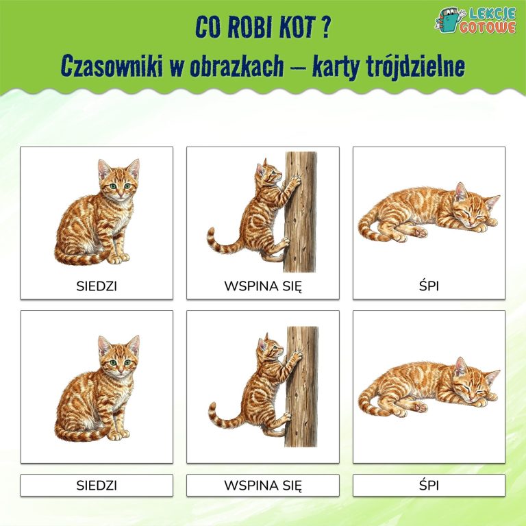 co robi kot czasowniki aktywności w obrazkach montessori karty trójdzielne materiały terapeutyczne rozwój mowy logopedia orm