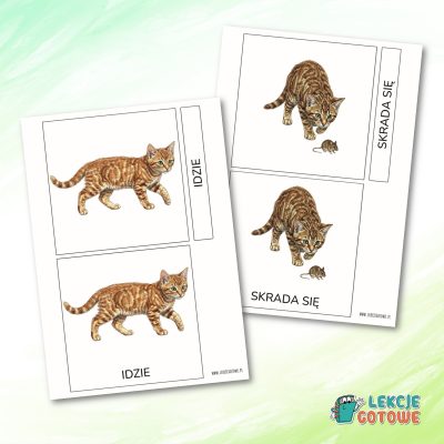 co robi kot czasowniki aktywności w obrazkach montessori karty trójdzielne materiały terapeutyczne rozwój mowy logopedia orm