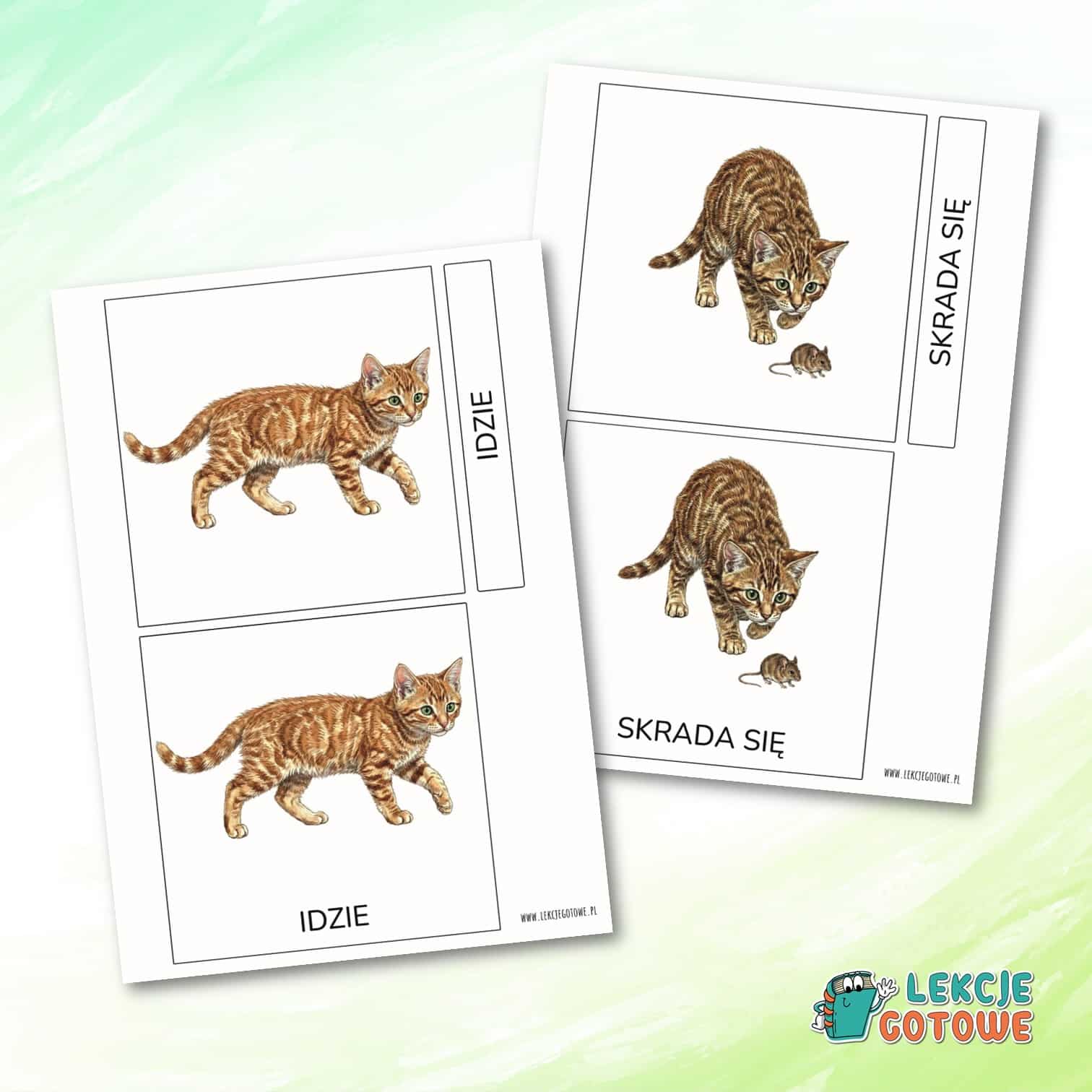 co robi kot czasowniki aktywności w obrazkach montessori karty trójdzielne materiały terapeutyczne rozwój mowy logopedia orm