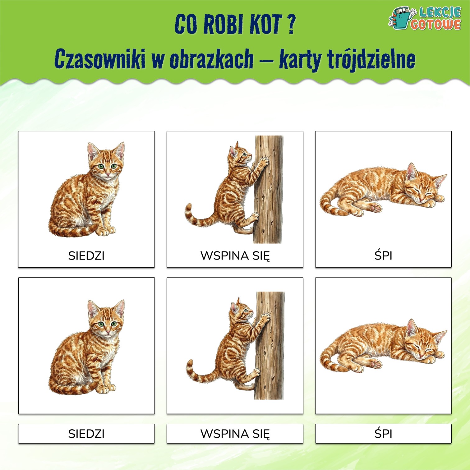 co robi kot czasowniki aktywności w obrazkach montessori karty trójdzielne materiały terapeutyczne rozwój mowy logopedia orm