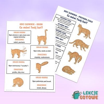 koci słownik plansze a4 dzień kota materiały pdf do druku pomoce edukacyjne kocia mowa ciała