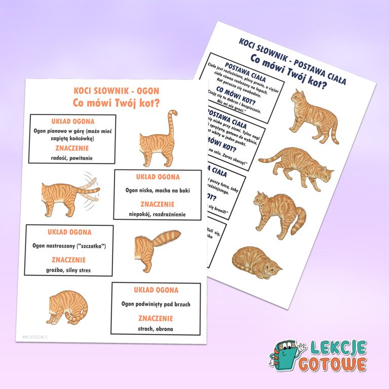 koci słownik plansze a4 dzień kota materiały pdf do druku pomoce edukacyjne kocia mowa ciała