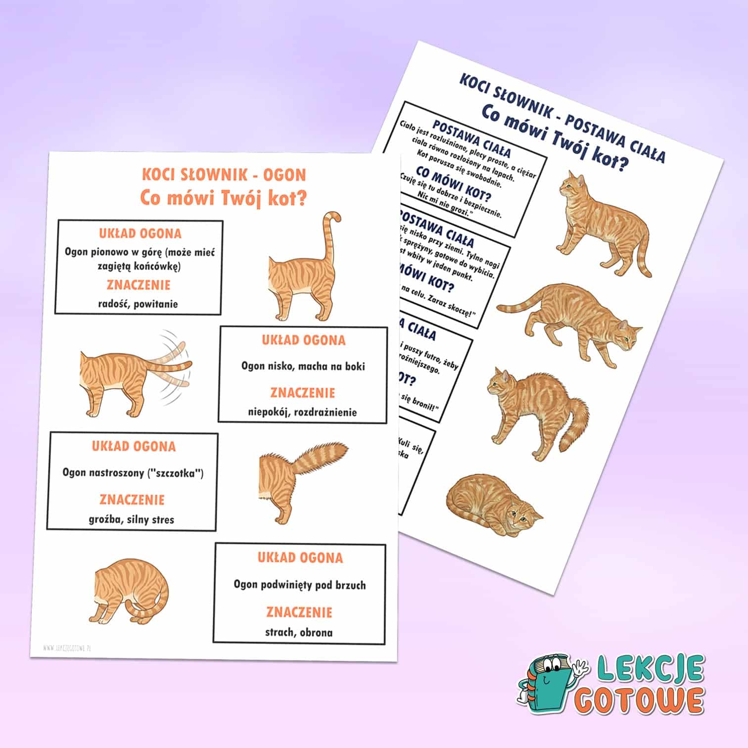 koci słownik plansze a4 dzień kota materiały pdf do druku pomoce edukacyjne kocia mowa ciała
