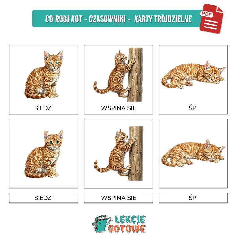 dzień kota 17 lutego koty kot plansze materiały pdf do druku dobre i złe praktyki w kontakcie z kotem dyplom order fotobudka materiały na gazetkę koci słownik mowa ciała girlanda napis dekoracje