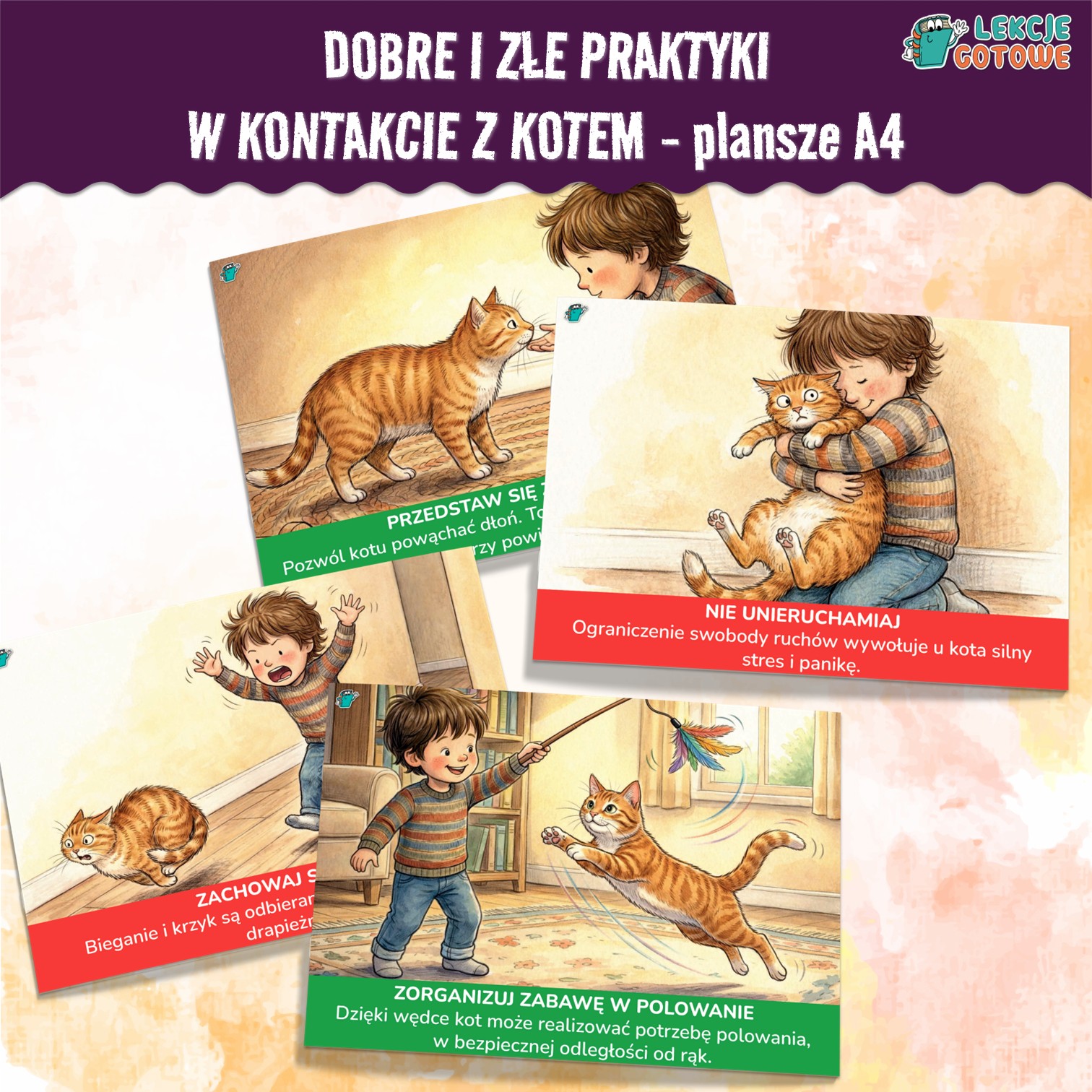 Dobre i złe praktyki w kontakcie z kotem plansze A4 materiały pdf do druku dzień kota pomysły scenariusz