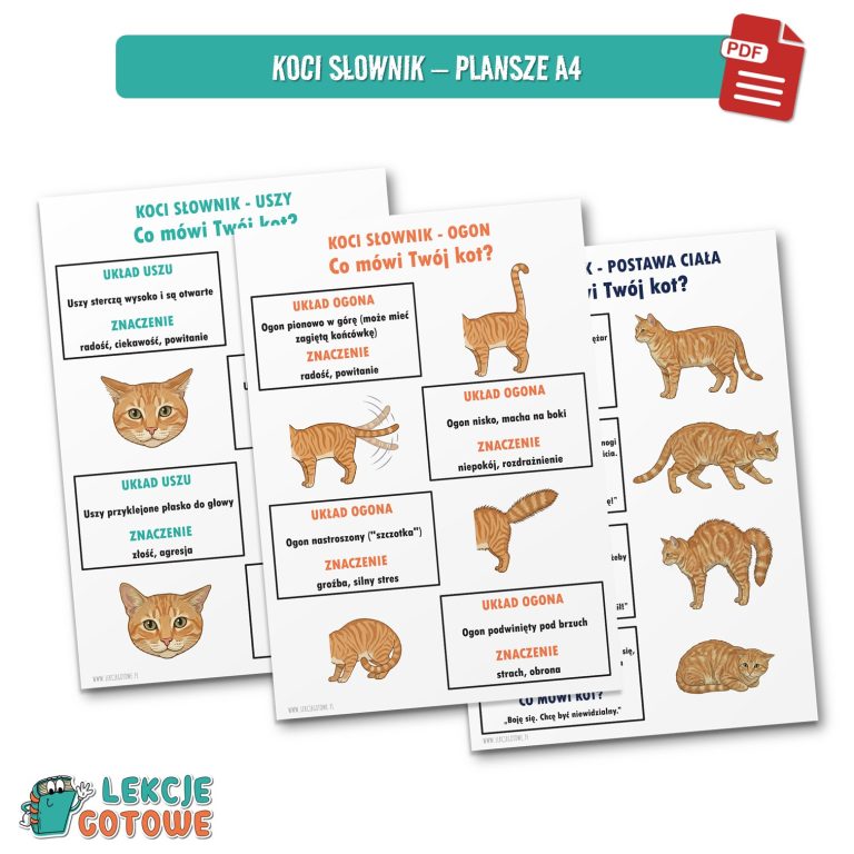 dzień kota 17 lutego koty kot plansze materiały pdf do druku dobre i złe praktyki w kontakcie z kotem dyplom order fotobudka materiały na gazetkę koci słownik mowa ciała girlanda napis dekoracje