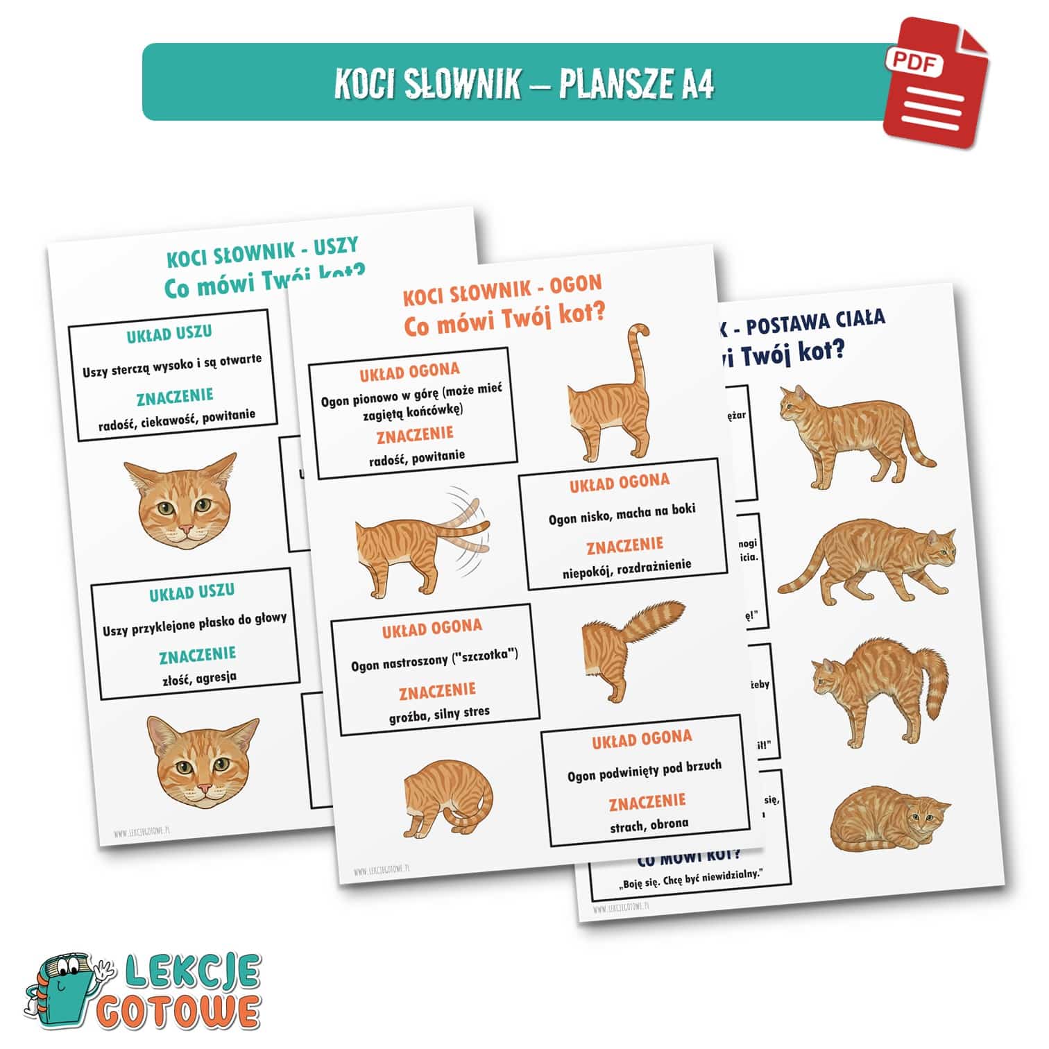 dzień kota 17 lutego koty kot plansze materiały pdf do druku dobre i złe praktyki w kontakcie z kotem dyplom order fotobudka materiały na gazetkę koci słownik mowa ciała girlanda napis dekoracje