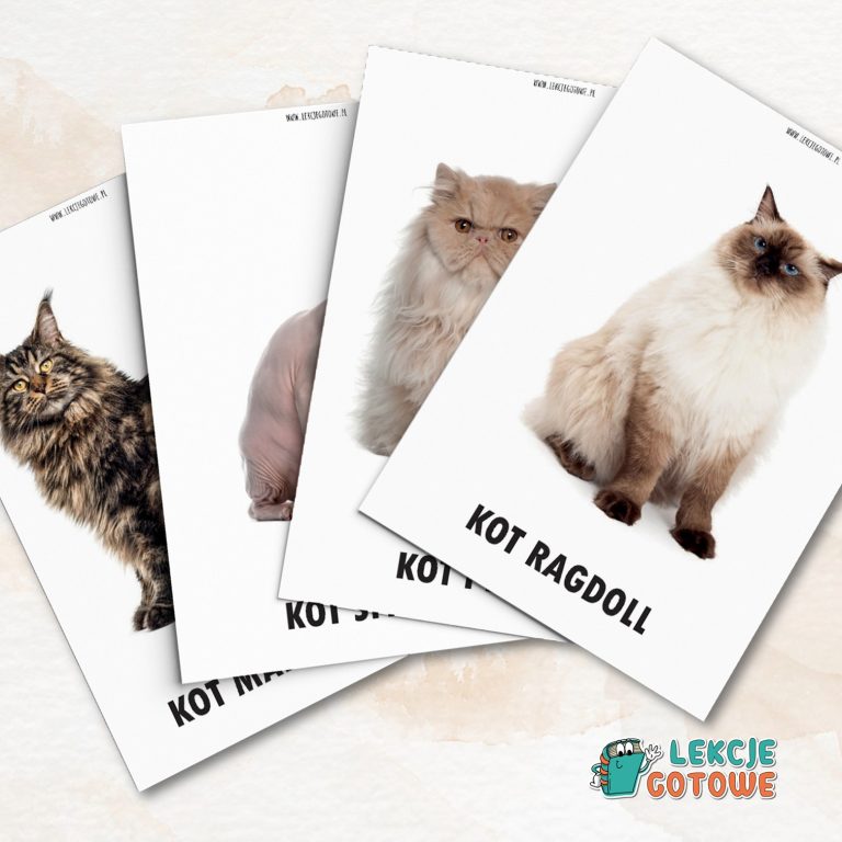 rasy kotów domowych dzień kota koty pdf do druku plansze edukacyjne materiały demonstracyjne