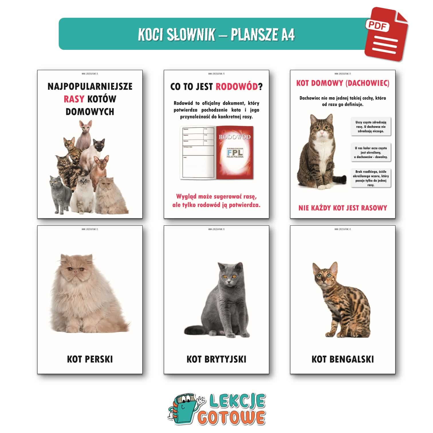 dzień kota 17 lutego koty kot plansze materiały pdf do druku dobre i złe praktyki w kontakcie z kotem dyplom order fotobudka materiały na gazetkę koci słownik mowa ciała girlanda napis dekoracje
