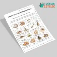 karta tropiciela przedwiośnia przedwiośnie wiosna pdf do druku karta pracy spacer pomysły dla dzieci marzec