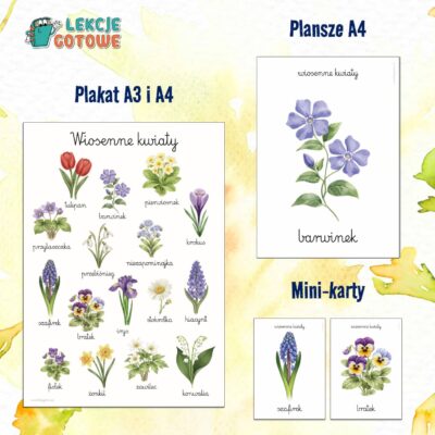 Wiosenne kwiaty plakat plansze mini-karty wiosna materiały dydaktyczne pomoce edukacyjne dla dzieci przyroda oznaki wiosny do druku pdf