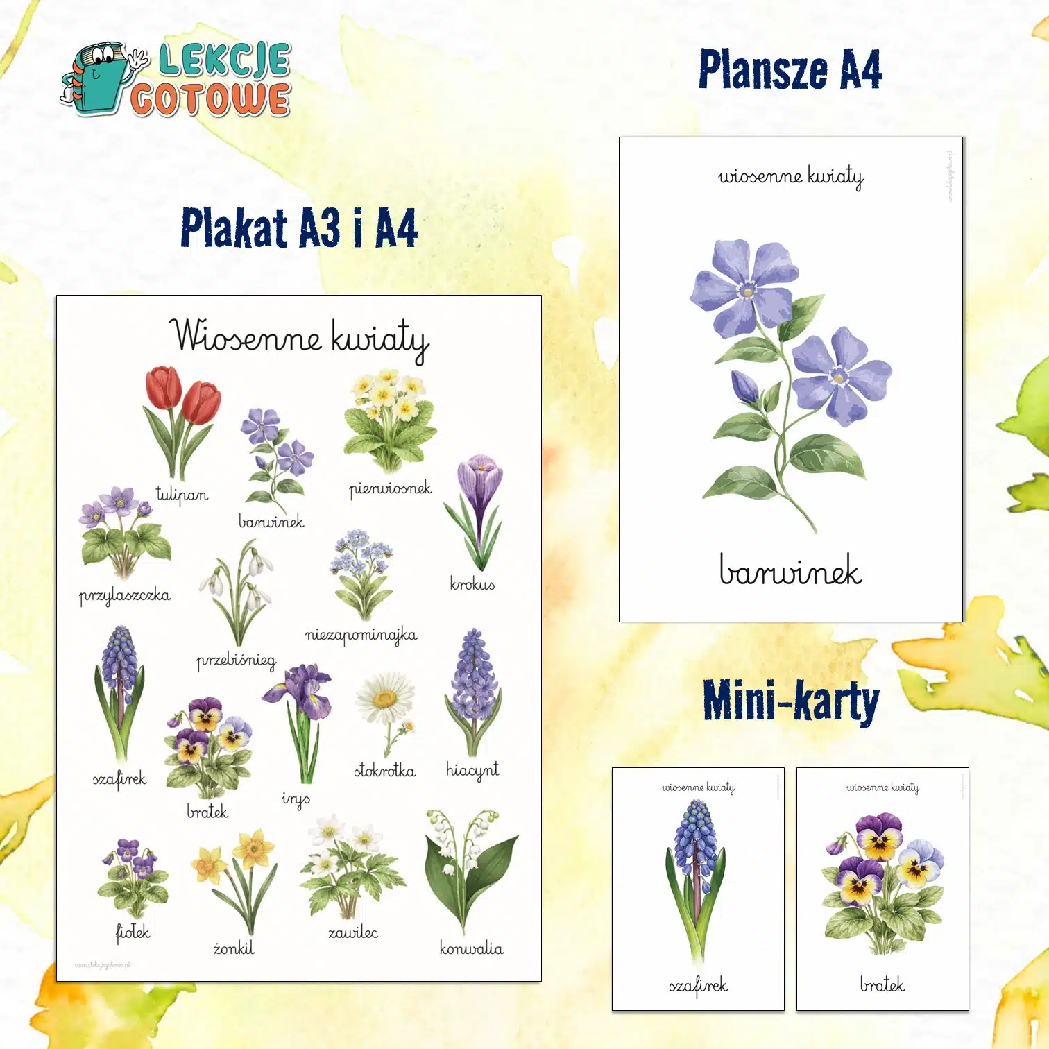 Wiosenne kwiaty plakat plansze mini-karty wiosna materiały dydaktyczne pomoce edukacyjne dla dzieci przyroda oznaki wiosny do druku pdf