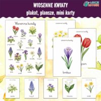 Wiosenne kwiaty plakat plansze mini-karty wiosna materiały dydaktyczne pomoce edukacyjne dla dzieci przyroda oznaki wiosny do druku pdf