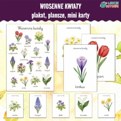Wiosenne kwiaty plakat plansze mini-karty wiosna materiały dydaktyczne pomoce edukacyjne dla dzieci przyroda oznaki wiosny do druku pdf