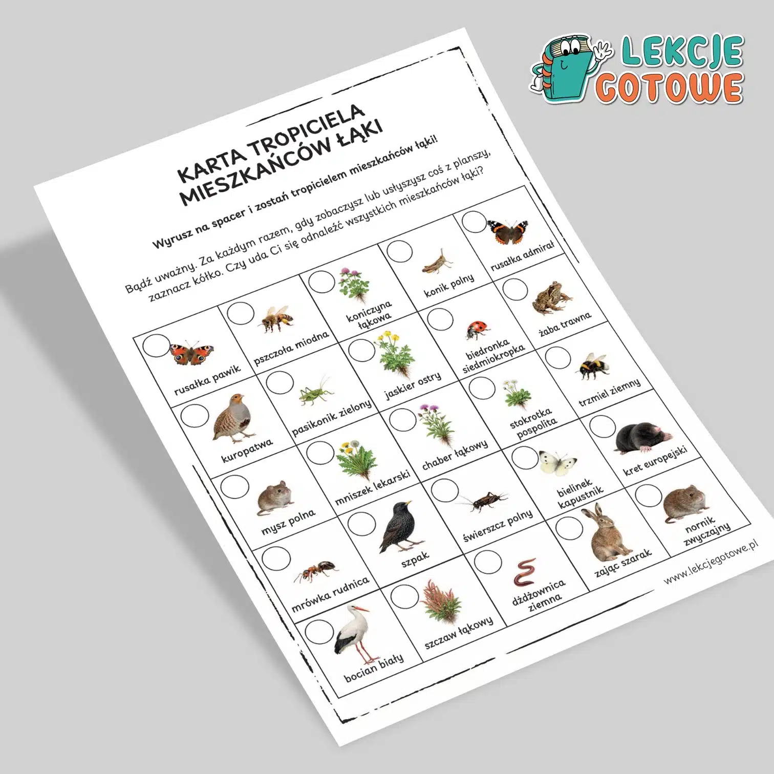 karta tropiciela mieszkańców łąki maj łąka bingo gra terenowa pdf do druku pomoce dydaktyczne pomysły na zajęcia przyrodnicze