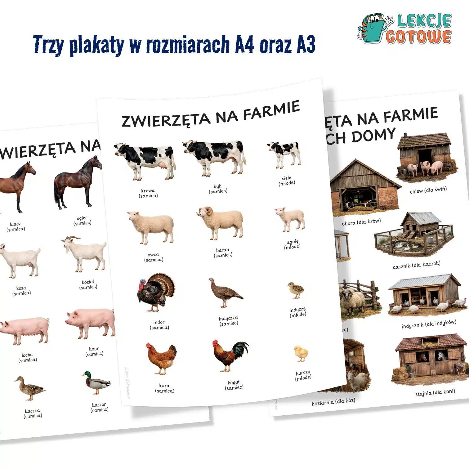 Farma materiały dydaktyczne mini teatrzyk plakaty zwierzęta gospodarskie i ich domy pdf makieta plansze pomoce edukacyjne