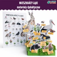 mieszkańcy łąki łąka materiały dydaktyczne pdf do druku dla dzieci makieta plakat plansze owady zwierzęta ssaki rośliny edukacja przyrodnicza