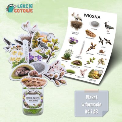 symbole wiosny materiały dydaktyczne ilustracje plansze plakaty wiosna oznaki do druku pdf