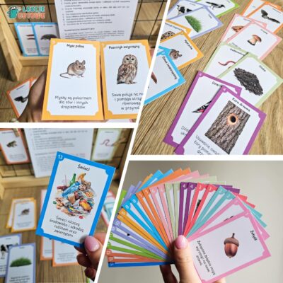 Gra karciana Piotruś wersja ekologiczna ekologia dzień ziemi przyroda edukacja przyrodnicza pomysły pdf do druku
