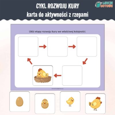 cykl rozwoju kury karta aktywności z rzepami do lamibooka