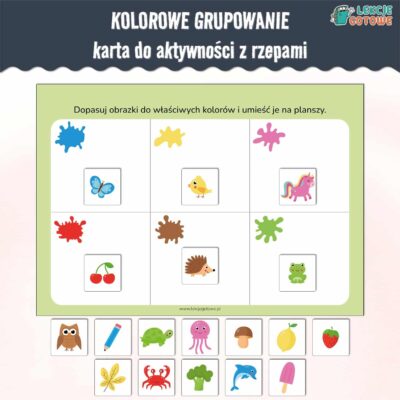 kolorowe grupowanie karta aktywności z rzepami lamibook