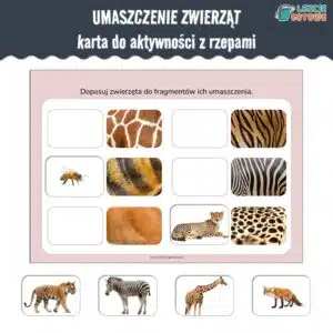 umaszczenie zwierząt karta aktywności z rzepami do lamibooka