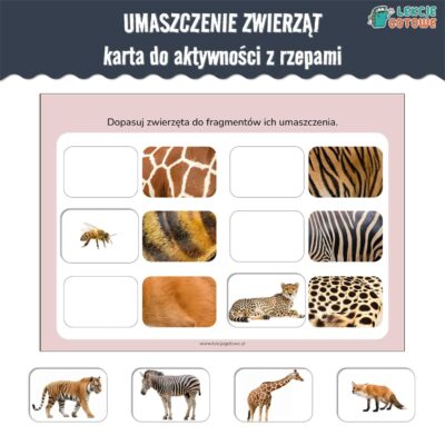 umaszczenie zwierząt karta aktywności z rzepami do lamibooka