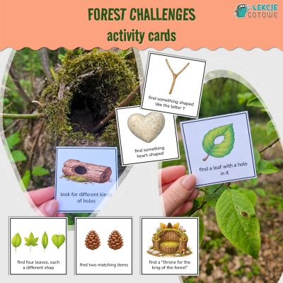 forest challenges Activity Cards