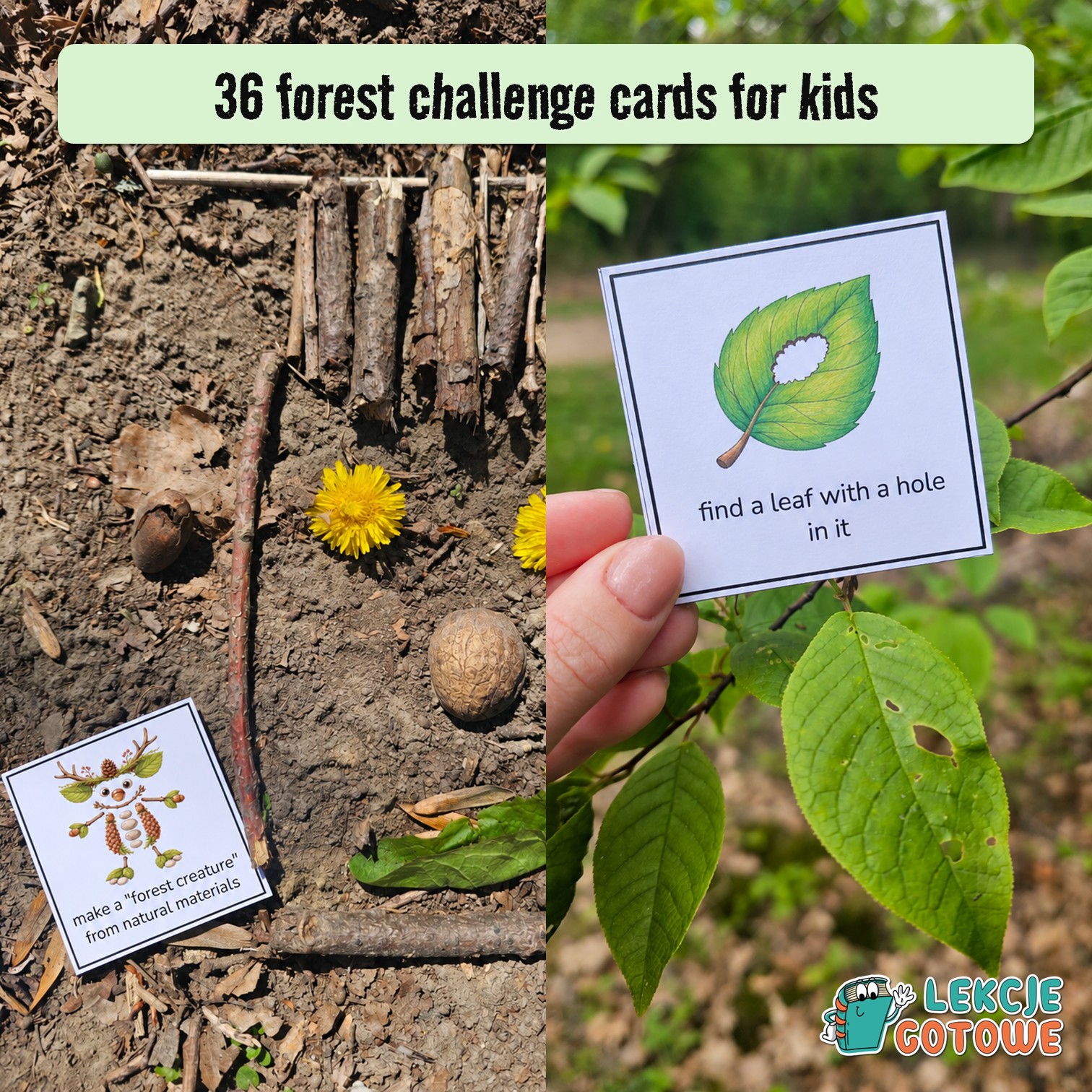 Fun Activities to Try in the Forest for kids
